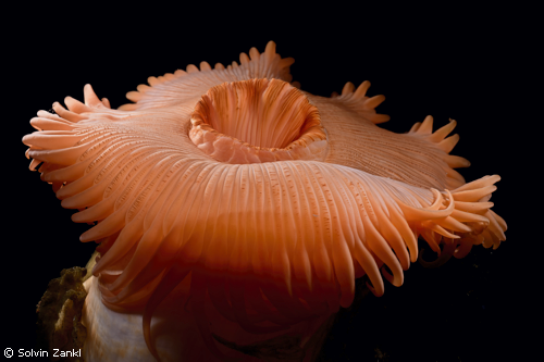 IceAGE Sonderausstellung