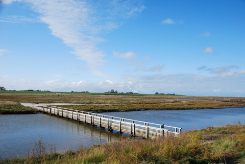 Langwarder Groden